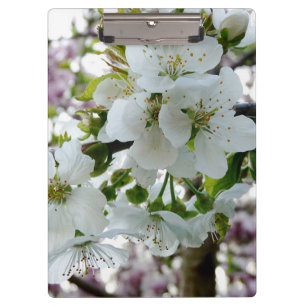 Cherry Blossom Clipboard