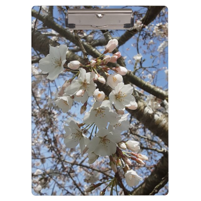 Cherry Blossom Clipboard (Front)