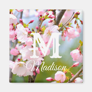 Cherry Blossom Close Up Magnet