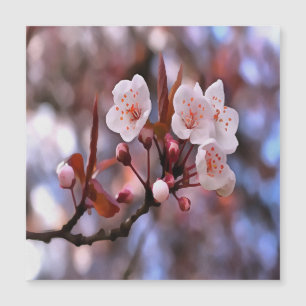 Cherry Blossom Cluster With A Pink and Blue