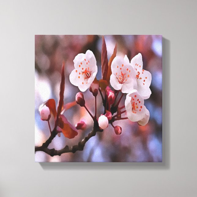 Cherry Blossom Cluster With A Pink and Blue  Canvas Print (Front)