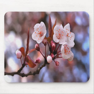 Cherry Blossom Cluster With A Pink and Blue Mouse Pad