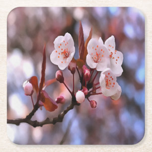 Cherry Blossom Cluster With A Pink and Blue  Square Paper Coaster