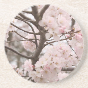 Cherry Blossom Coaster