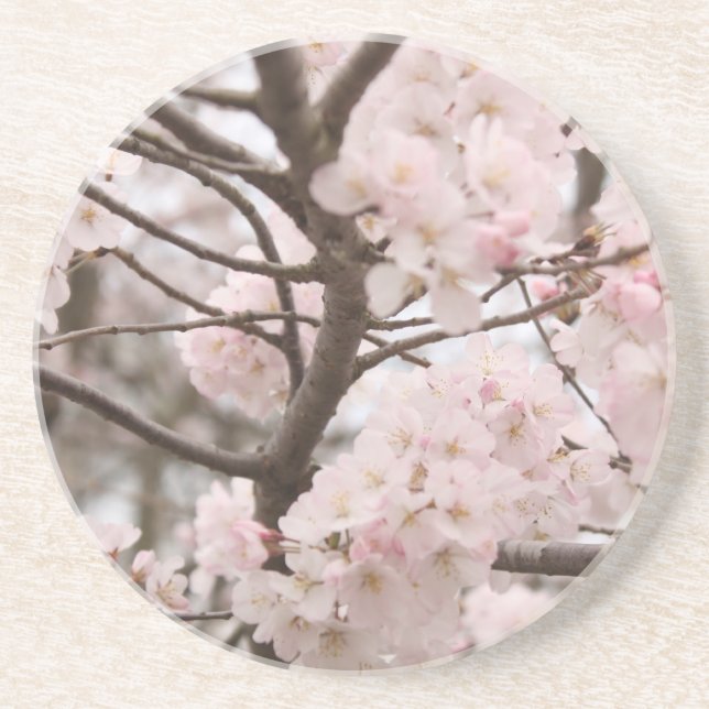 Cherry Blossom Coaster (Front)