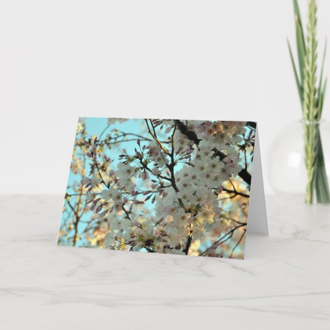 Cherry Blossom Design Card (Front)
