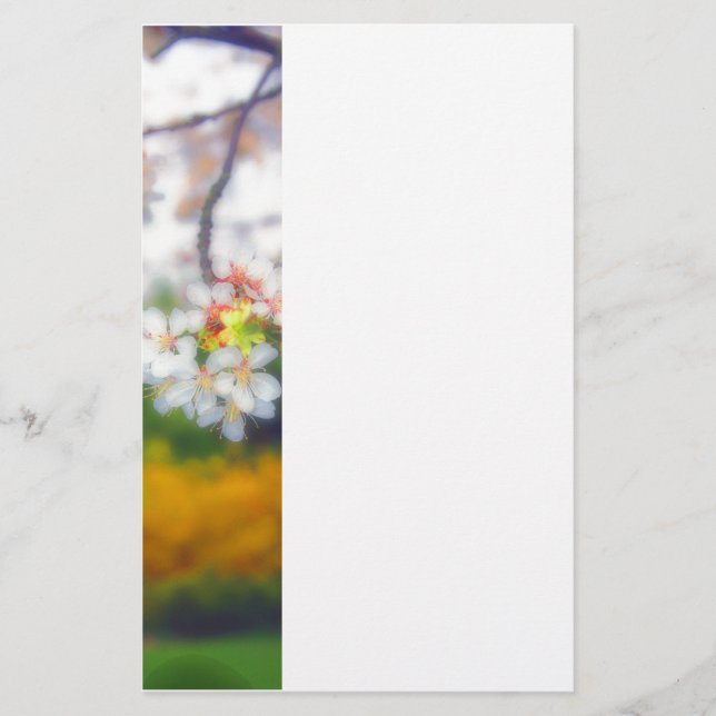 Cherry Blossom Fantasy Stationery (Front)