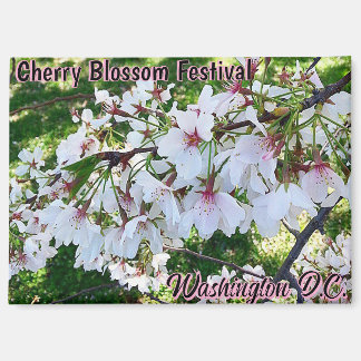 Cherry Blossom Festival Washington D.C. Magnet