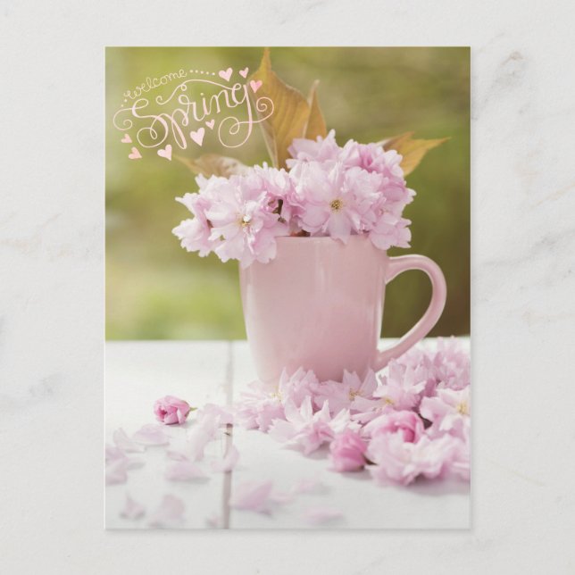 Cherry Blossom Flower Floral Stilllife Spring Text Postcard (Front)
