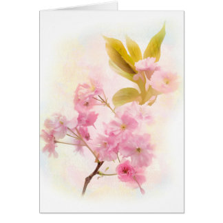 Cherry Blossom flowers