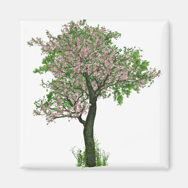 Cherry Blossom Flowers Tree Branches Leaves Magnet (Front)