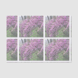 Cherry Blossom French Script Decoupage Tissue Paper