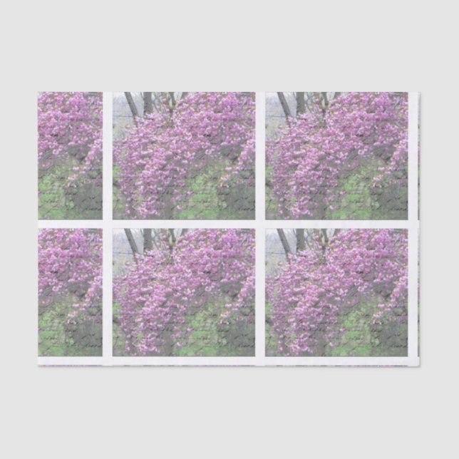 Cherry Blossom French Script Decoupage Tissue Paper (Front)