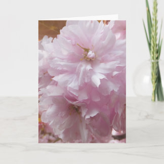 Cherry Blossom Greeting Card (Blank Inside)