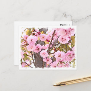 Cherry Blossom "Imose" ポストカード Postcard