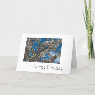 cherry blossom in blue sky. happy birthday card