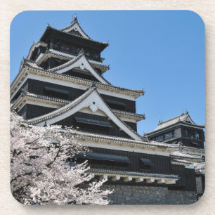 Cherry Blossom In Japan Coaster