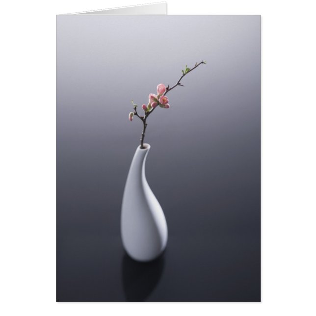 Cherry blossom in vase (Front)