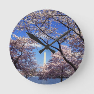 Cherry blossom in Washington DC Round Clock