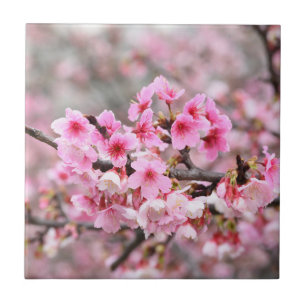 Cherry blossom Japan floral pink pretty unique Tile