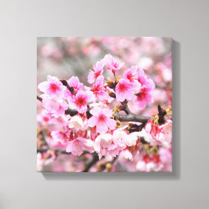 Cherry blossom Japanese floral pink sakura Flowers Canvas Print