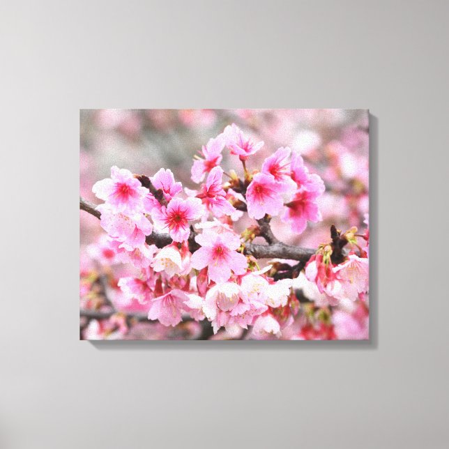 Cherry blossom Japanese floral pink Tree Flowers  Canvas Print (Front)