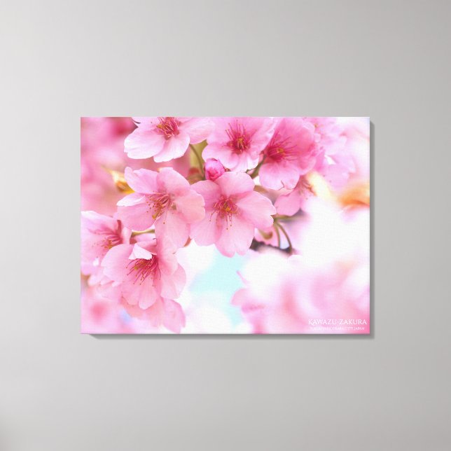 Cherry blossom"Kawazu-zakura"：Premium Canvas Print (Front)