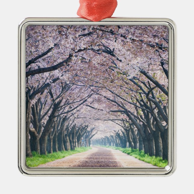 Cherry Blossom Lane Metal Ornament (Front)