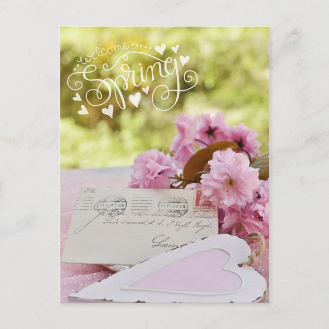 Cherry Blossom Loveletter Spring Text Postcard (Front)