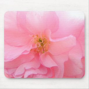 Cherry  Blossom Mouse Pad