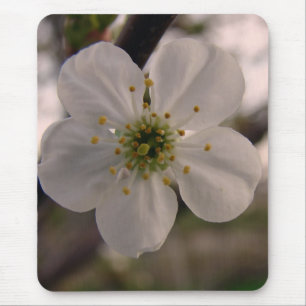Cherry Blossom Mouse Pad