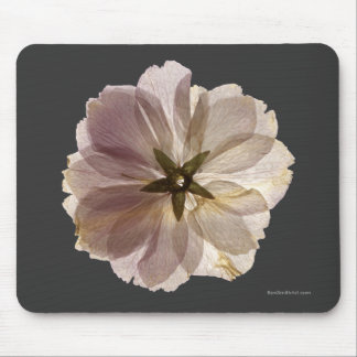 Cherry Blossom Mousepad