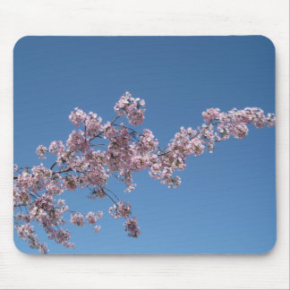 Cherry Blossom Mousepad