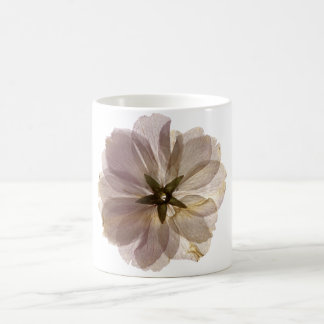 Cherry Blossom Mug 2