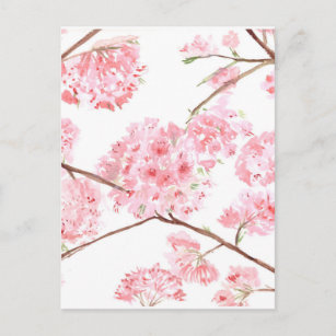 Cherry blossom pink flowers painting postcard