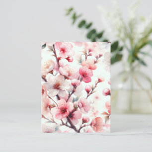 Cherry Blossom Postcard