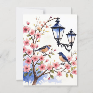 Cherry Blossom Postcard