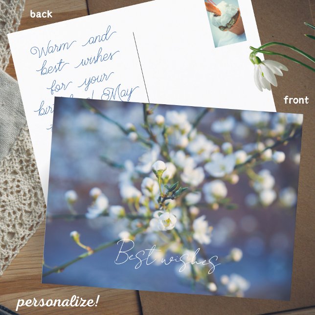Cherry blossom  postcard (Creator Uploaded)