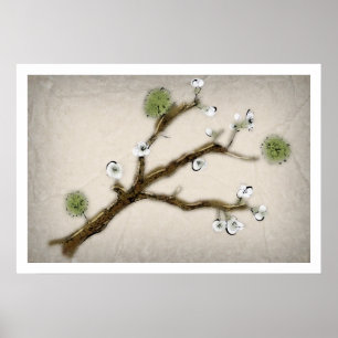 Cherry Blossom Poster