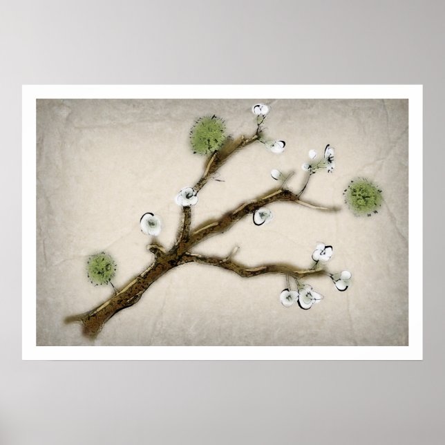 Cherry Blossom Poster (Front)