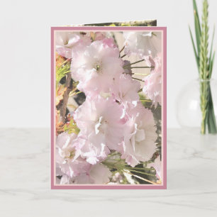 Cherry Blossom rose pâle et blanc carte photo