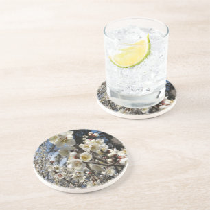 Cherry Blossom / Sakura / サクラ（桜） Coaster