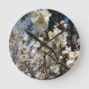 Cherry Blossom / Sakura / サクラ(桜) Round Clock