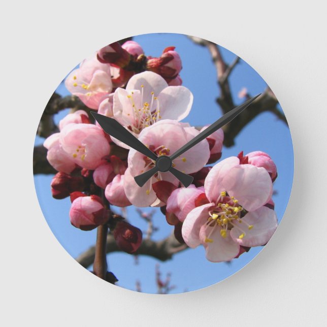 Cherry Blossom Sakura Round Clock (Front)