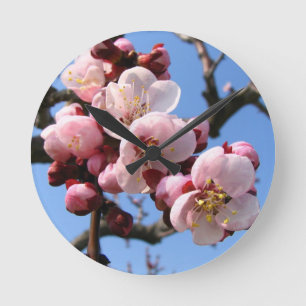 Cherry Blossom Sakura Round Clock