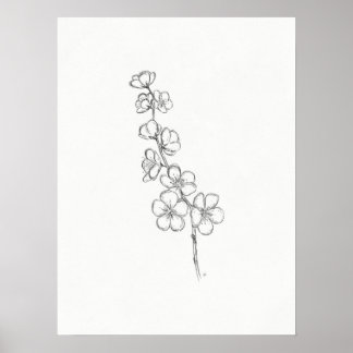 Cherry Blossom Sketch Print