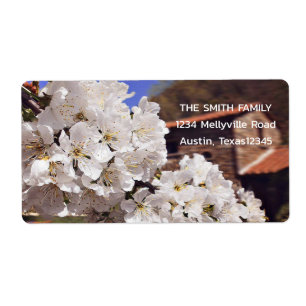 Cherry Blossom. Spring.