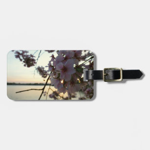 Cherry Blossom Sunset in Washington DC Luggage Tag