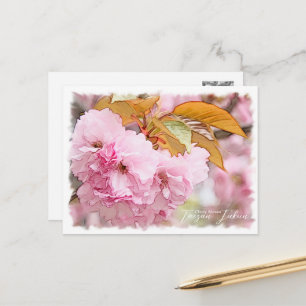 Cherry Blossom "Taizan-fukun" Postcard