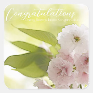 Cherry Blossom "Takato Kohigan-Zakura" Square Seal